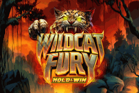 Wildcat Fury