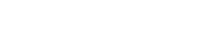 Aviajet