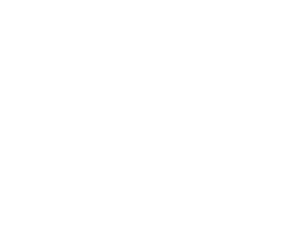 Netgame