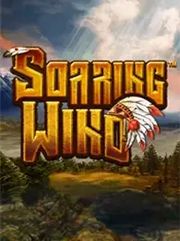 Soaring Wind