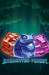 Enchanted Forest