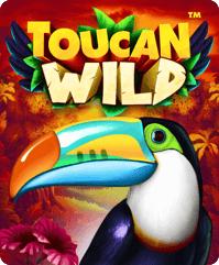 Toucan Wild
