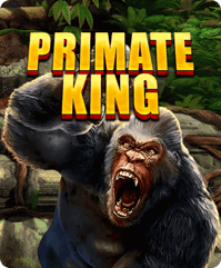 Primate King
