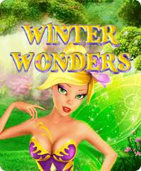 Winter Wonders