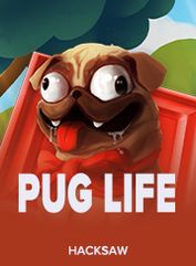 Pug Life
