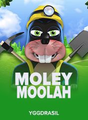 Moley Moolah