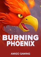 Burning Phoenix