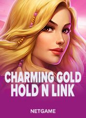 Charming Gold Hold n Link