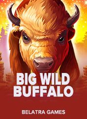 Big Wild Buffalo