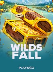 Wild Falls