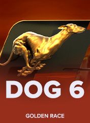 Dog 6